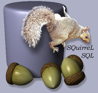 squirrel_sql
